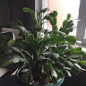 Meet your Posher, Becky